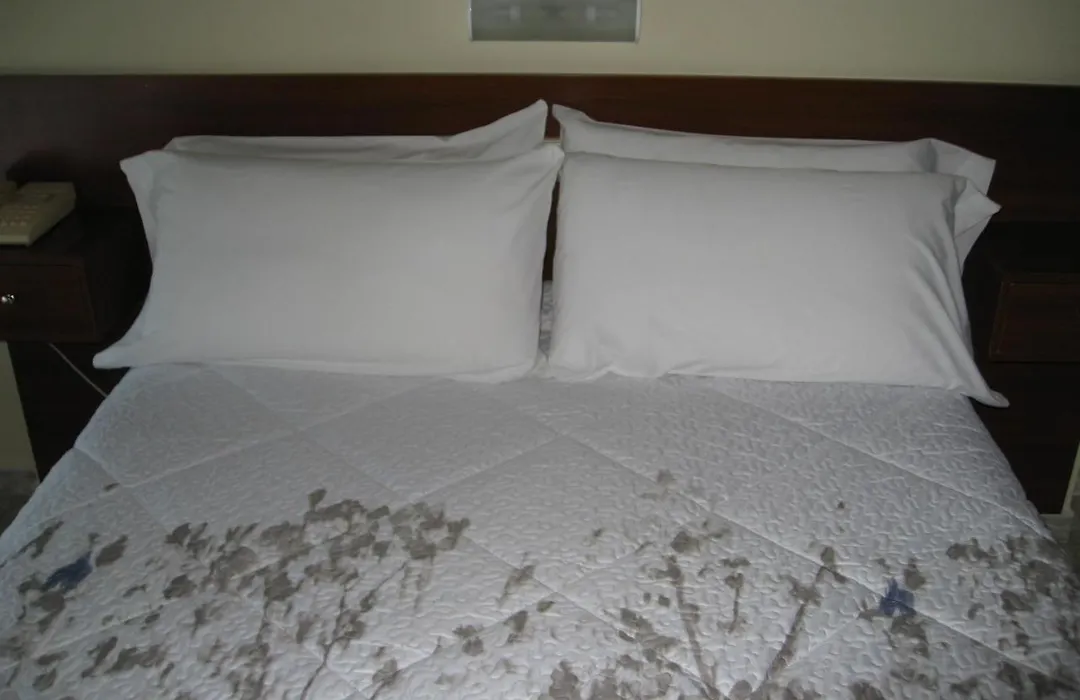 Hostal Roma-1